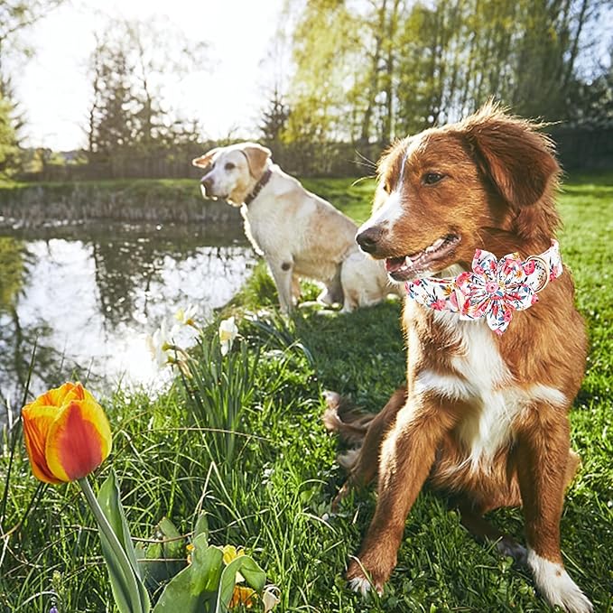 Lionheart glory Dog Collar Flowers Collar Floral Dog Collar - Image 4