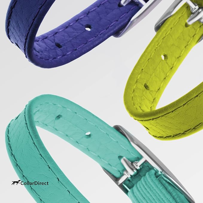 CollarDirect Leather Cat Collar, Kitten Collar - Image 8