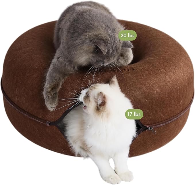 Cattasaurus Peekaboo Cat Cave Donut by Cattasaurus