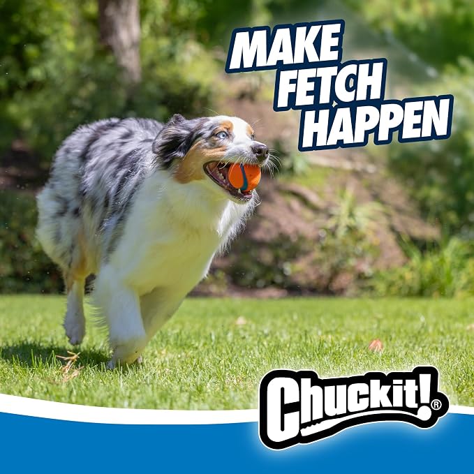 Chuckit! Ultra Ball Dog Toy - Image 2