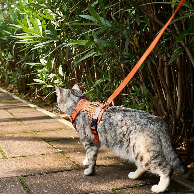 Cat Harness and Leash Escape Proof Medium Kitten Harness Bengal Cat Vest - Image 3