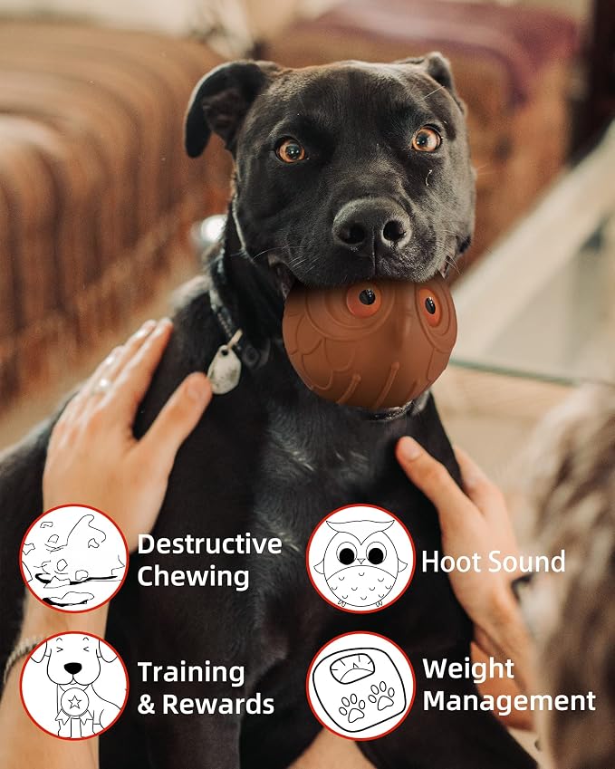 Mewlmart Giggle Ball for Dogs Owl Toys for Aggressive Chewers Dog Ball Toy for - Image 2