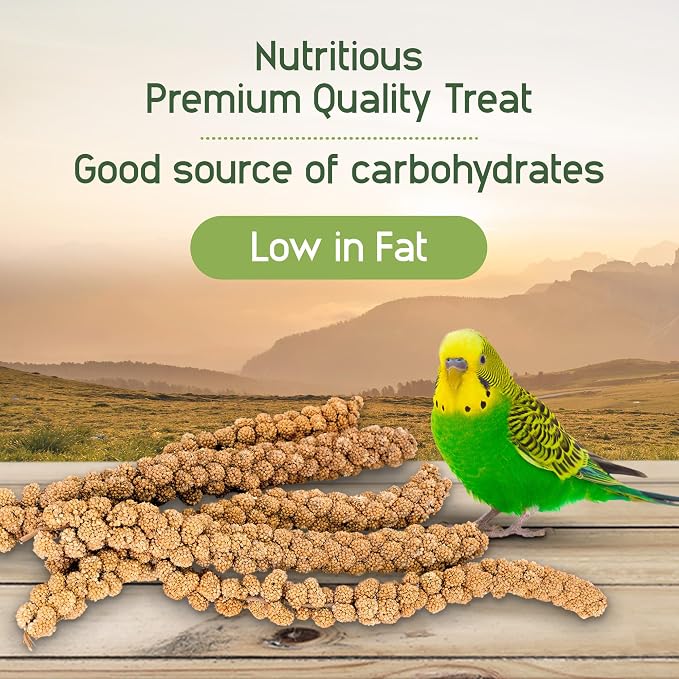 Living World – Millet Spray for Birds, 17.6 Oz – Premium Treat for Budgies - Image 4