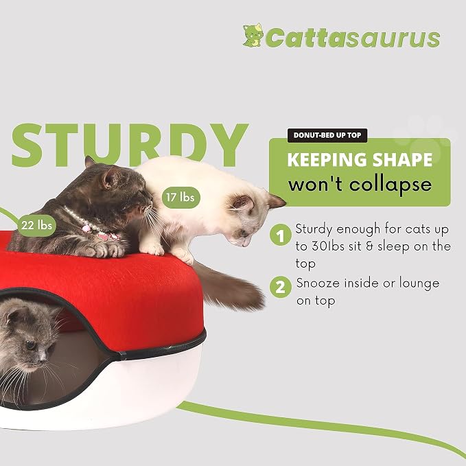 Cattasaurus Peekaboo Cat Cave Donut - Image 2