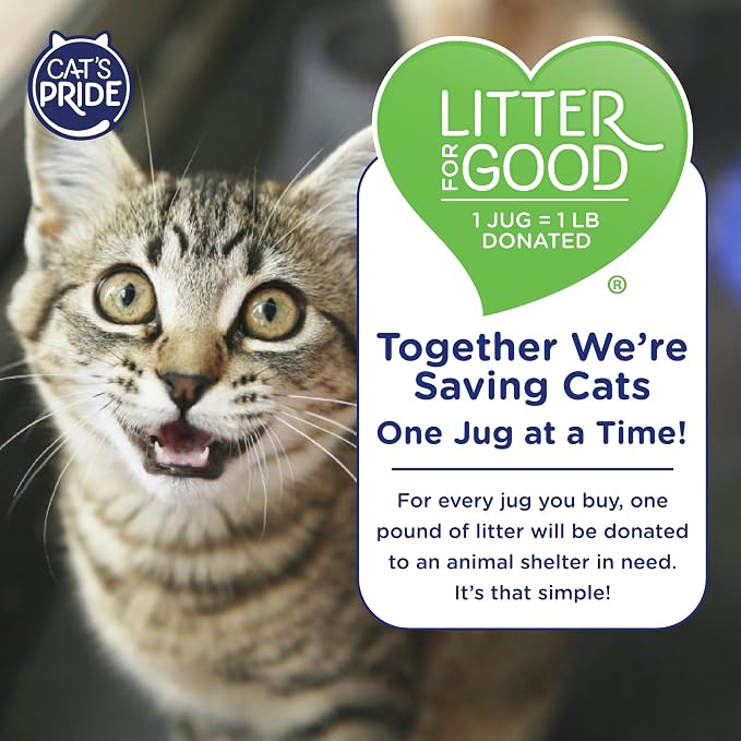 Cat's Pride Max Power: Natural Care - Image 7