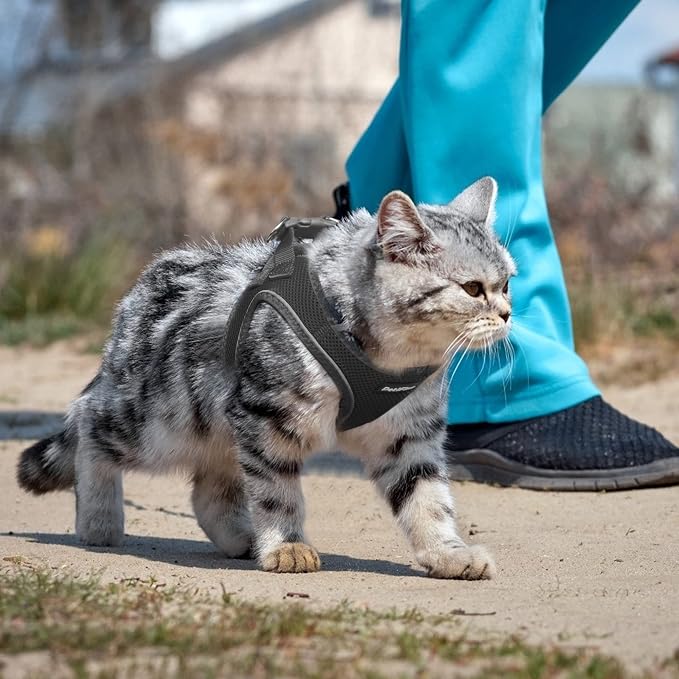 PetiFine Cat Harness and Leash Set, Escape Proof Kitten Harness Reflective - Image 7