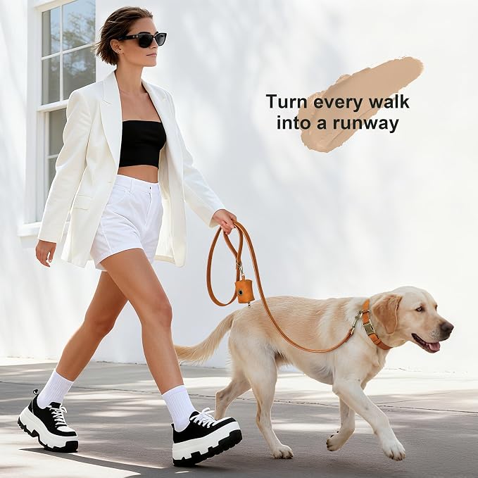 Didog Soft PU Leather Dog Collar, Stylish Quick Released Dog Collar - Image 4