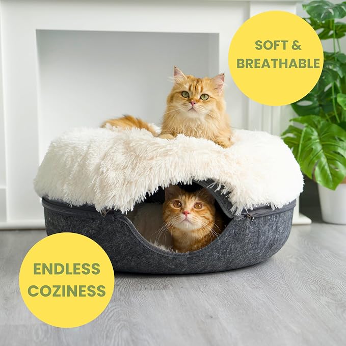 CATTASAURUS Peekaboo Cat Cave for Multiple & Large Cats Up to 30-45 Lbs - Image 5