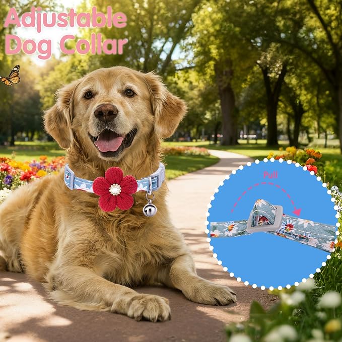 Large Dog Collar with Flower, Dog Collars - Image 5
