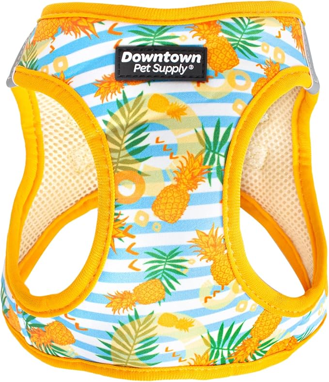 Downtown Pet Supply Step-in Dog Harness – No Pull, Adjustable Padded Mesh by DowntownPetSupply