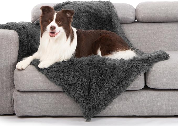 gogobunny Waterproof Dog Blanket by gogobunny