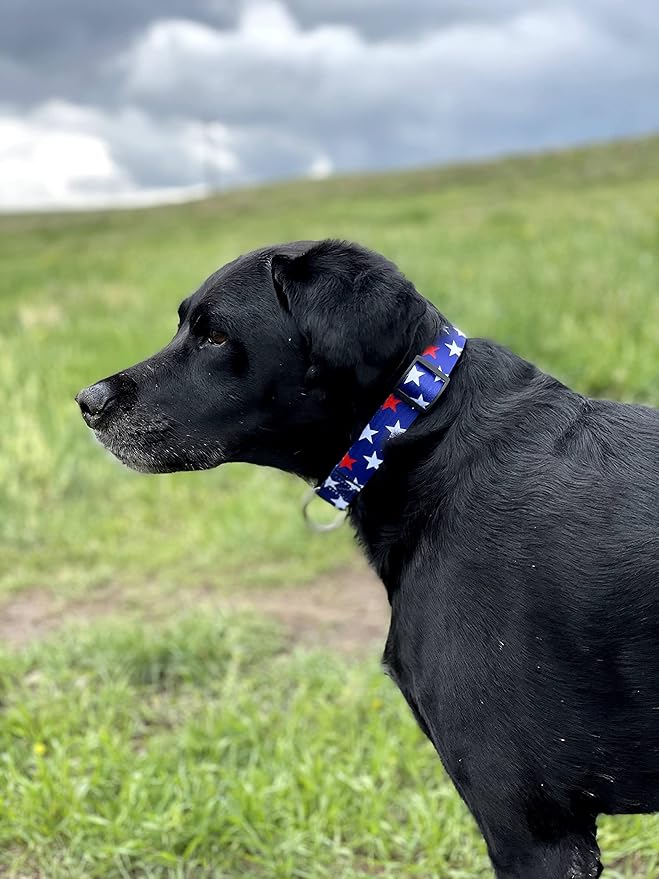 Native Pup American Flag Dog Collar- Red White and Blue- Patriotic Collars - Image 6
