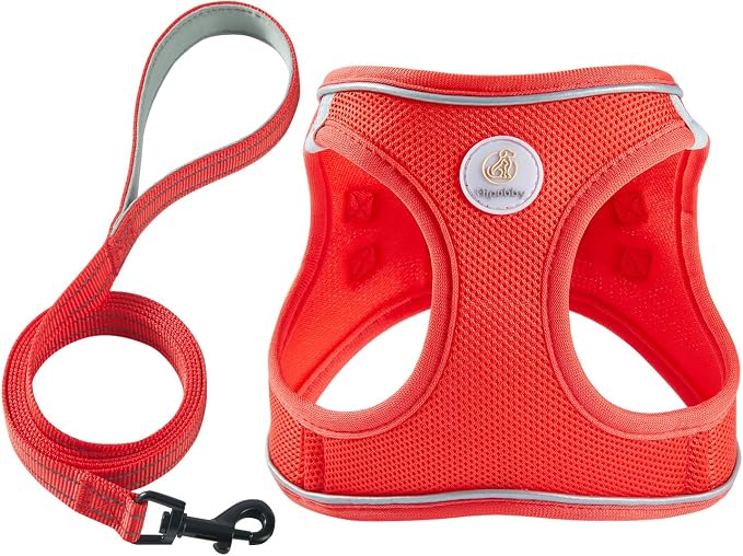 Hipubby Dog Harness and Leash Set, No Pull Soft Mesh Puppy Harness by Hipubby