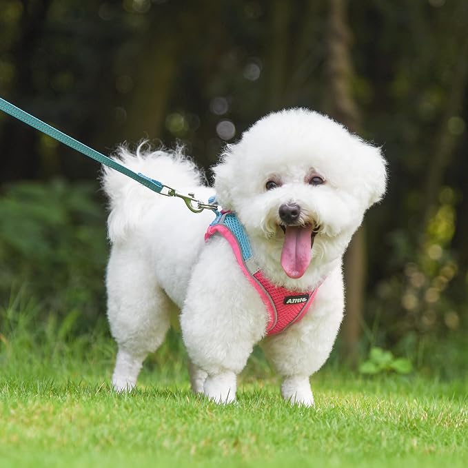 AIITLE Step in Dog Harness and Leash Set - Image 9