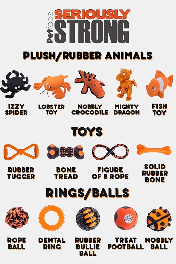 Petface Seriously Strong Rubber Teething Dog Chew - Image 6