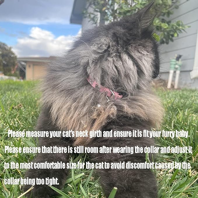 PUPTECK Breakaway Cat Collar - Image 6