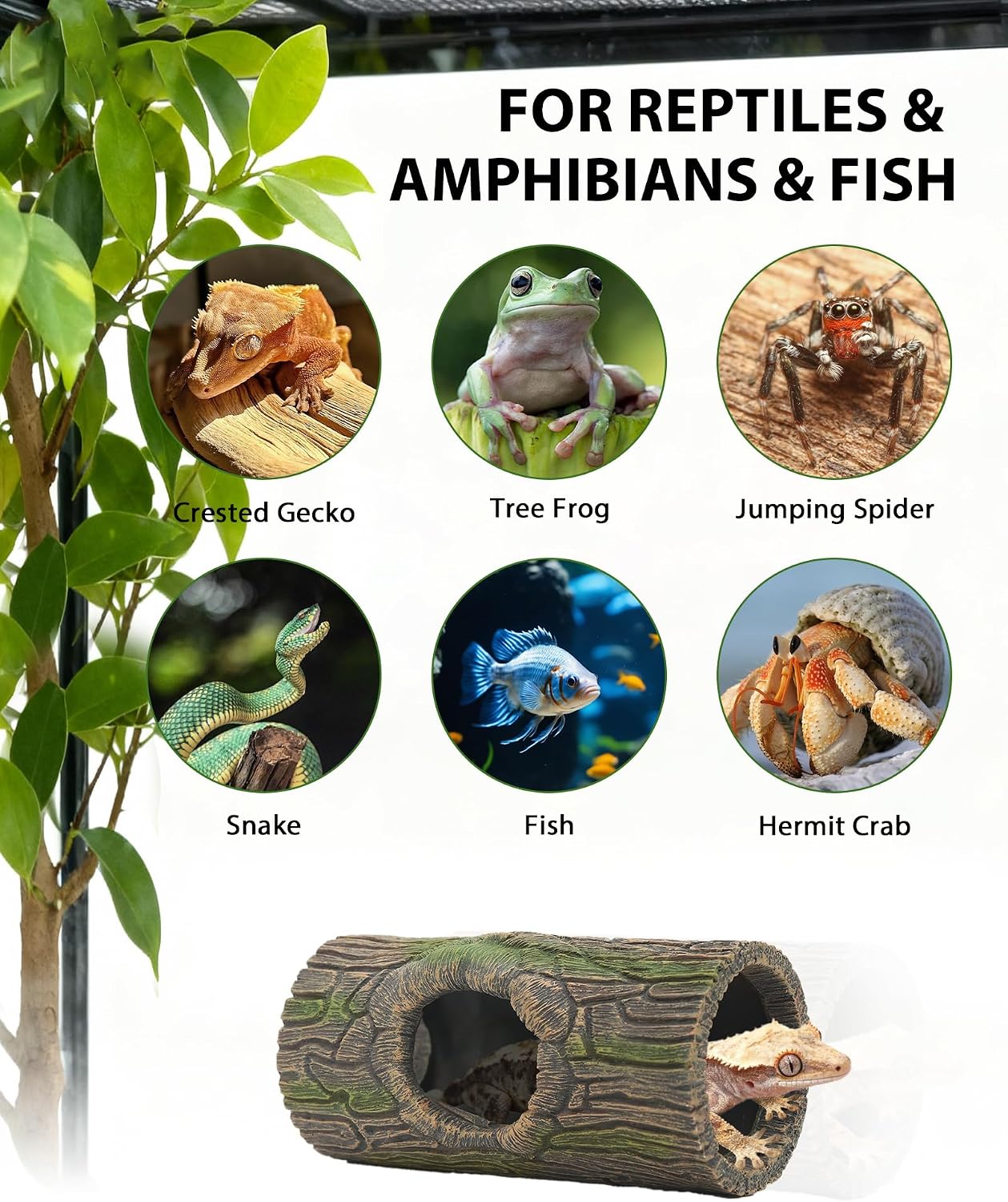 Magnetic Crested Gecko Hideout Resin Hollow Log Cave - GlobalHabitat Supply