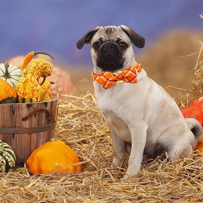 Fall Dog Collar, Pet Collar Bow Orange Plaid Dog Collar Girl Boy Holiday Pet - Image 5