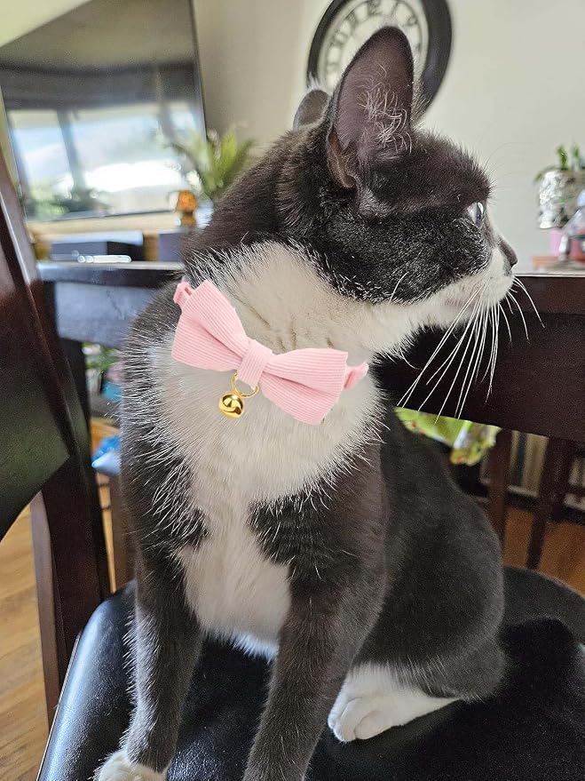 Cotton Breakaway Kitten Collar - Image 5