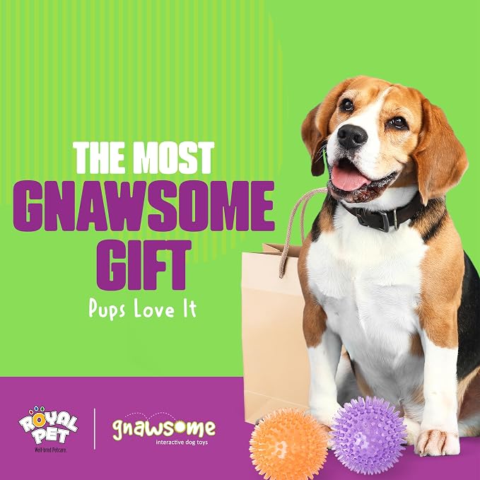 Gnawsome Medium Squeaker Ball Dog Toy, Medium 3.5", Colors will vary, All Breed - Image 7