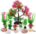 Aquarium Plants with Natural Decorations Shells by Unknown