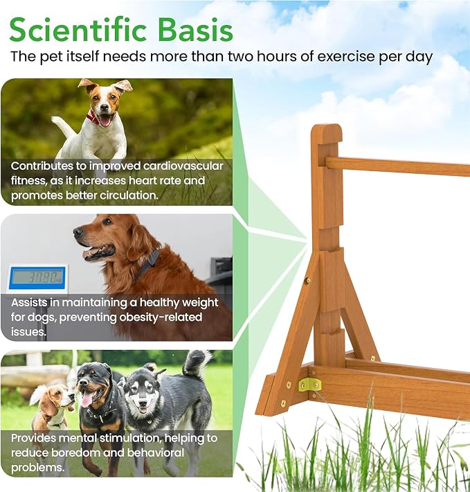Dog Agility Set, Wooden Dog Agility Jumps & Dog Hurdles, Dog Agility Equipment - Image 3