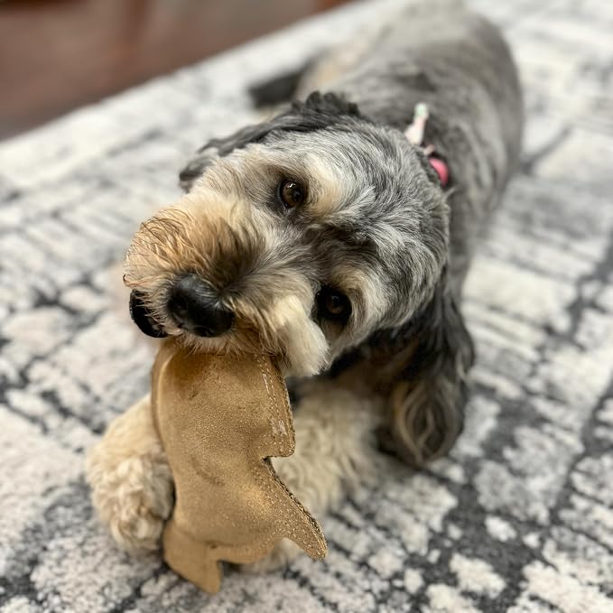 SPOT Dura-Fused Leather Rabbit Dog Toy – Durable Real Leather & Jute Chew Toy - Image 7