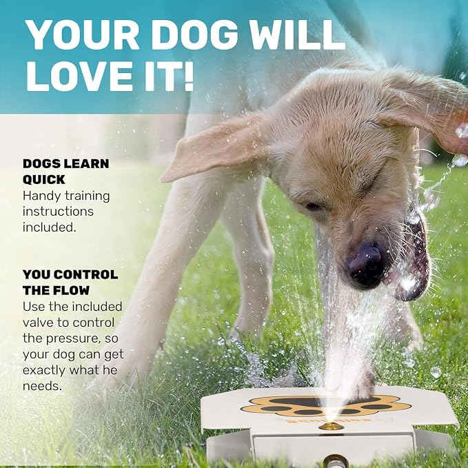 Scuddles Dog Sprinkler, Paw Activated Water Fountain, Outdoor Dog Water - Image 3
