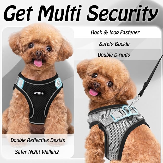 AIITLE Comfortable Dog Harness and Leash Set - Image 7