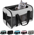 Cat Carrying Case by home