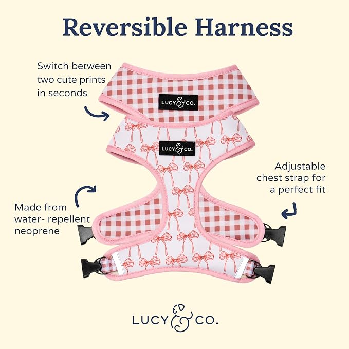Lucy & Co. Cute Reversible Dog Harness Walking Halter - Image 2
