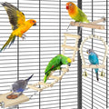 5in1 Bird Perch Ladder with Swing, Natural Wood Parrot Perches Platform with by DBNESS