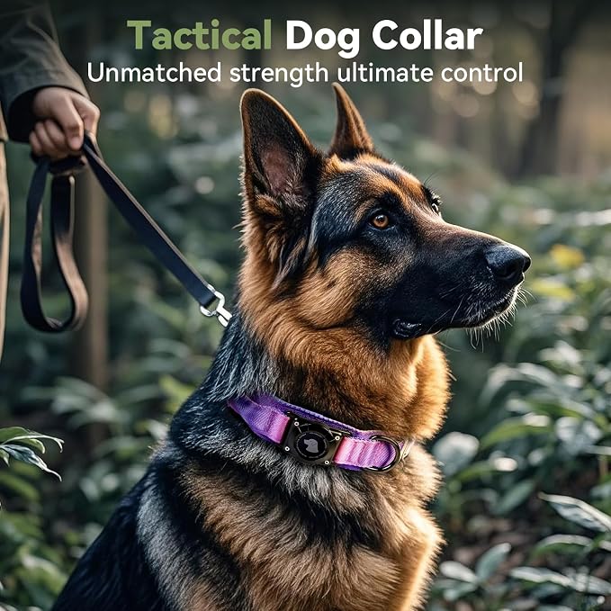2026 Upgrade Waterproof AirTag Dog Collar, Military Tactical Dog Collar - Image 2