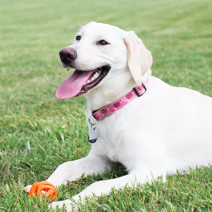 Chuckit! Air Fetch Ball Dog Toy - Image 4