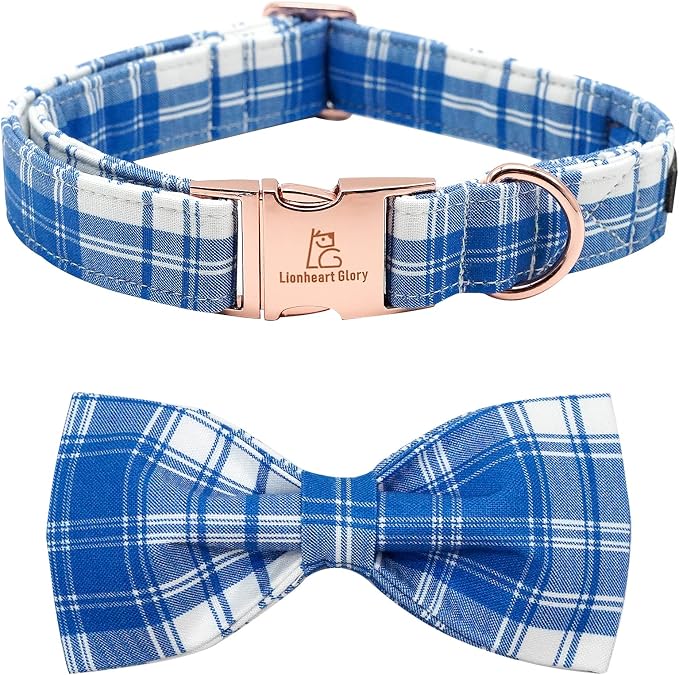 Lionheart glory Dog Collar, Boy Dog Collar Bowtie Blue Plaid Adjustable Dog by LionheartGlory