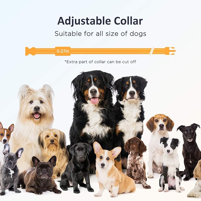 PATPET Dog Training Collar - Image 5