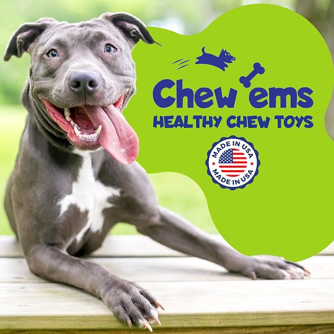 Chew'ems Durable Chewy Dog Toys | Long-Lasting & Flavorful Chew Dog Toys - Image 7