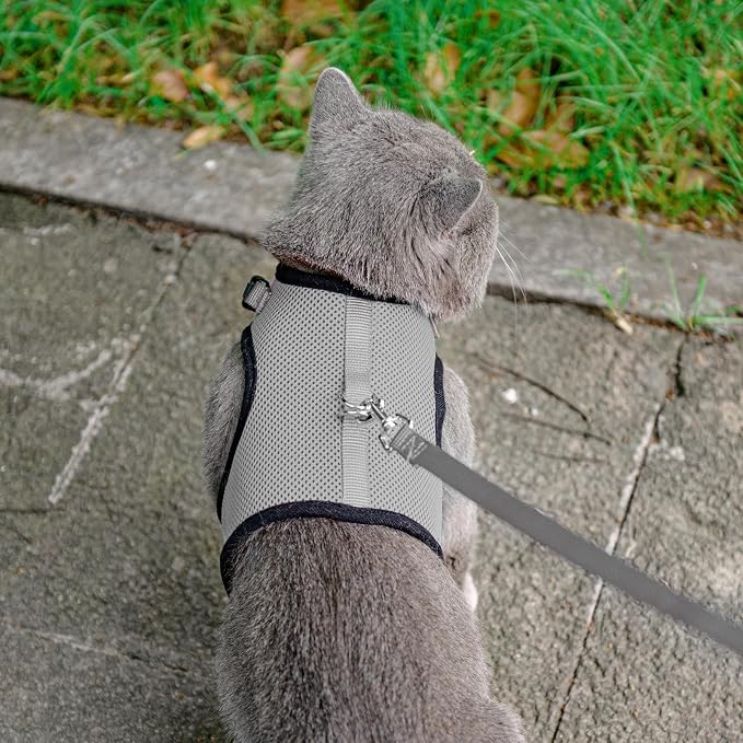 PUPTECK Soft Mesh Cat Vest Harness and Leash Set Puppy Padded Pet Harnesses - Image 6