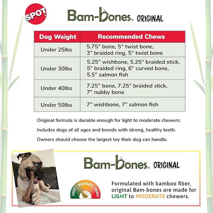 SPOT Bam-Bones Fish - Image 2
