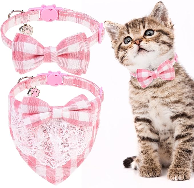 EXPAWLORER Cute Cat Collar Breakaway by EXPAWLORER
