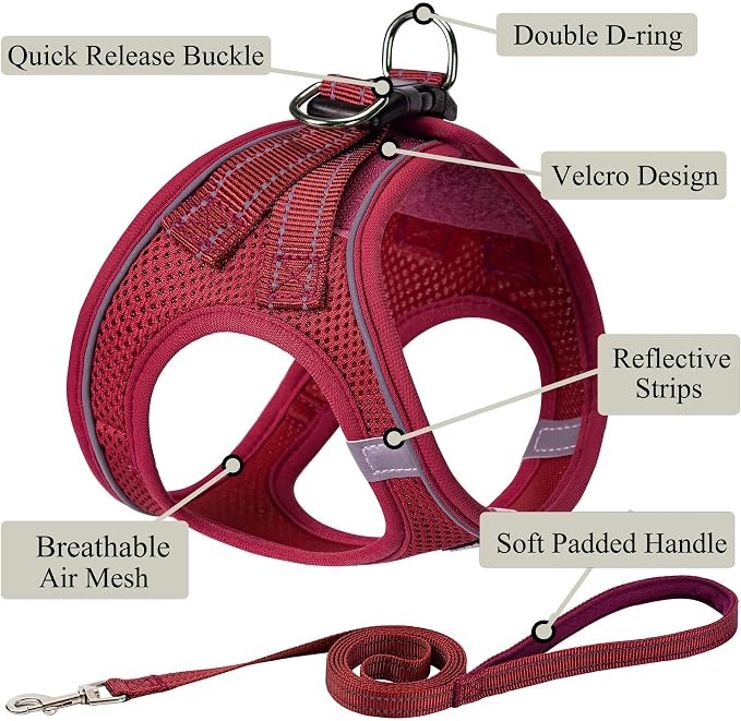Dog Harness with Leash Set, No Pull Adjustable Reflective Step-in Puppy Pet - Image 2