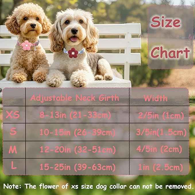 Medium Dog Collar with Flower, Dog Collars