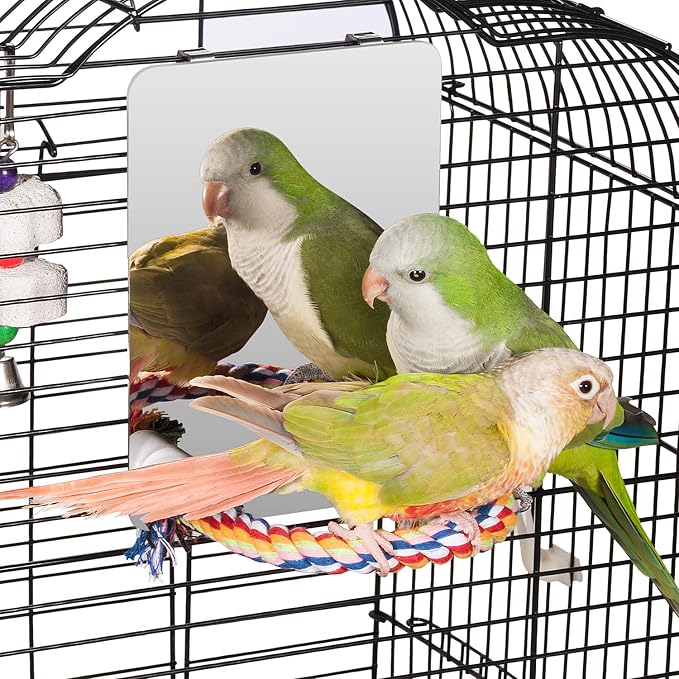 Colorday 7" Bird Mirror with Rope Perch, Bird Swing, Parrot Cage Toys by Colorday