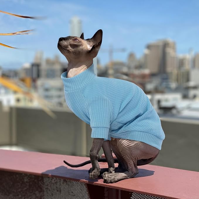 PUMYPOREITY Stretchy Cat Shirt & Sweater - Image 5