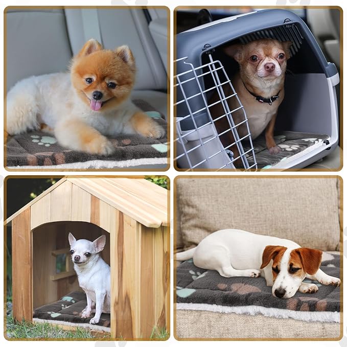 Tuanse 4 Pack Ultra Soft Dog Cat Bed Mat Small Animal Guinea Pig Bed - Image 5
