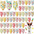 Weewooday 50 Pcs Fruit Dog Bandanas Bulk by Weewooday