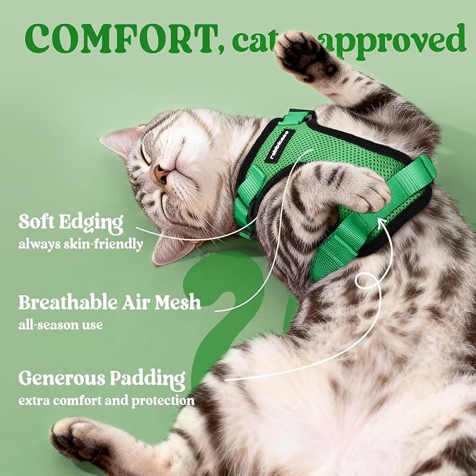 rabbitgoo Cat Harness and Leash - Image 4