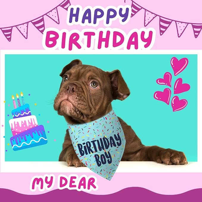 Birthday Boy Dog Bandanas 1 Pack, Pet Scarves - Image 3