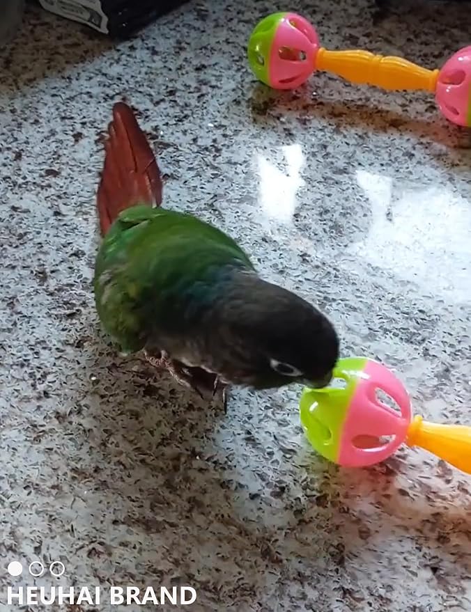 18-Pack Bird Toys Set for Parrots & Small Birds – Colorful Plastic & Rattan - Image 8