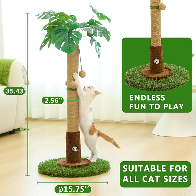 Cat Scratching Post for Indoor Cats and Kitten - Image 6